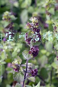 开淘宝网店赚钱吗