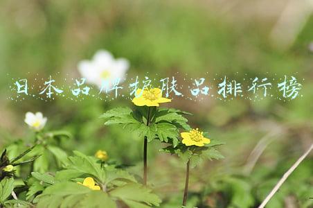 日本品牌护肤品排行榜