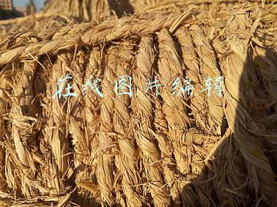 在线图片编辑