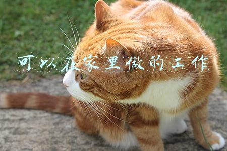 可以在家里做的工作