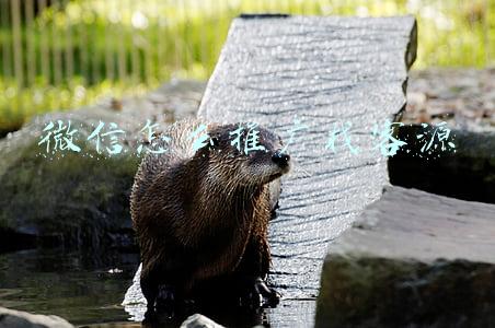 微信怎么推广找客源