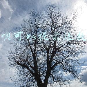 借呗可以提前还款吗