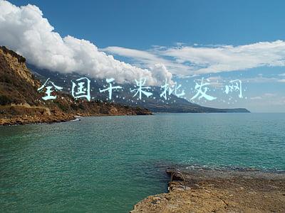 全国干果批发网