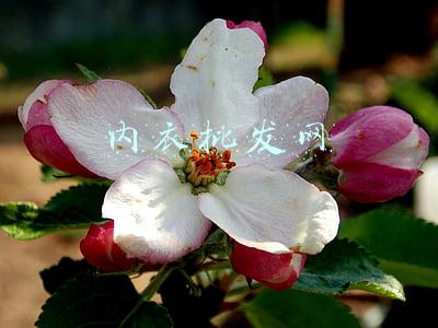 内衣批发网