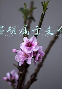 以下哪项属于支付方式正确的(网络消费新规来了！为保护消费者最高法明确了这些→)