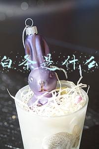 白条是什么