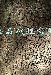 做护肤品代理能赚钱吗