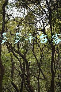 拼多多平台客服电话(拼多多人工客服无法解决实际问题只会说抱歉)