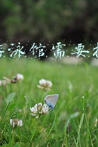 儿童游泳馆需要投资多少钱
