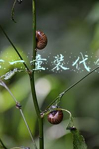 六一童装代销