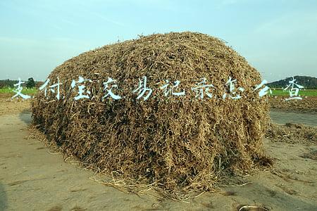 支付宝交易记录怎么查