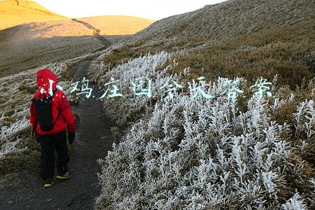 小鸡庄园今天答案