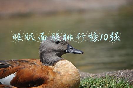 睡眠面膜排行榜10强
