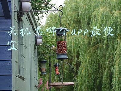 买机票哪个app最便宜