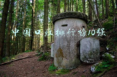 中国口红排行榜10强