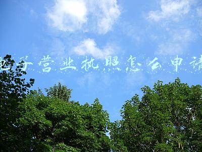 电子营业执照怎么申请