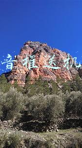 抖音推送机制