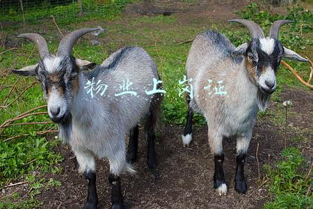 物业上岗证