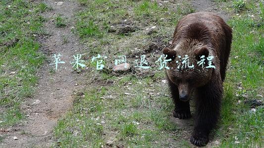 苹果官网退货流程