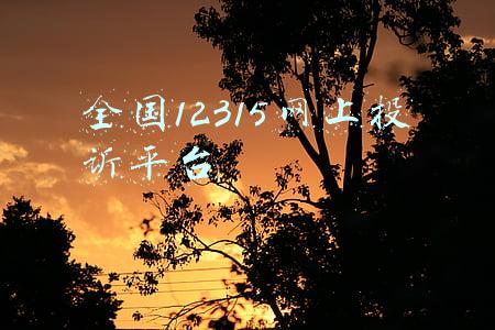 全国12315网上投诉平台