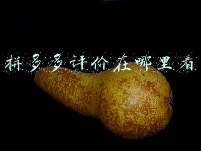 拼多多评价在哪里看