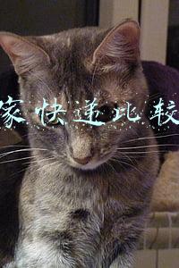 哪家快递比较好