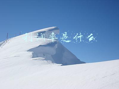 利润率是什么