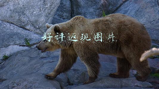 好评返现图片