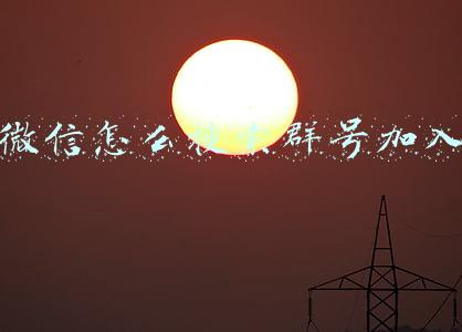 微信怎么搜索群号加入