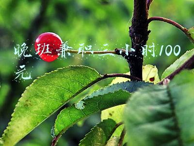 晚班兼职三小时100元