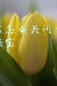 支付宝怎么关闭自动转入余额宝