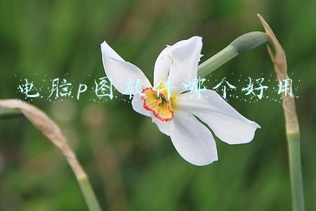 电脑p图软件哪个好用