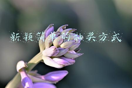 新颖简单的抽奖方式
