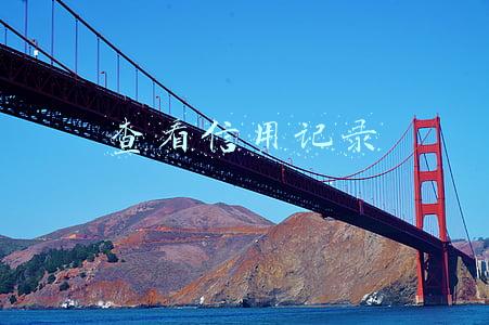 查看信用记录