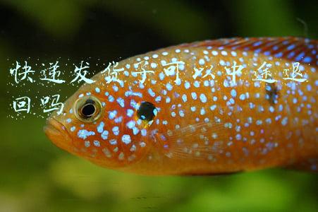 快递发货了可以中途退回吗
