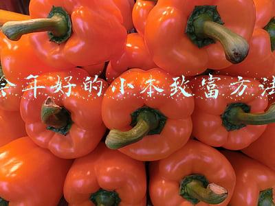 今年好的小本致富方法