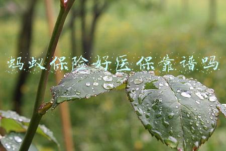 蚂蚁保险好医保靠谱吗