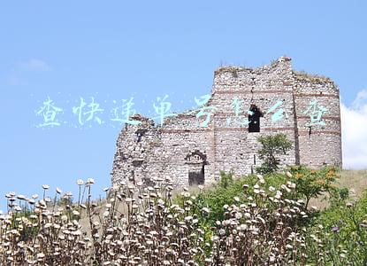 查快递单号怎么查