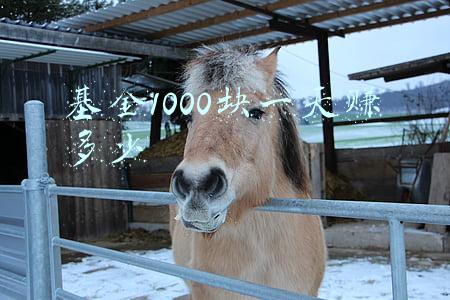 基金1000块一天赚多少