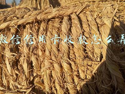微信信用卡收款怎么弄