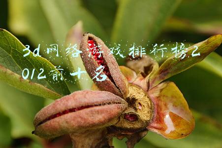 3d网络游戏排行榜2012前十名