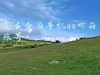 怎么查看手机qq邮箱账号