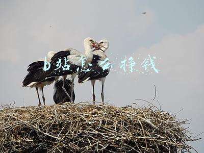 b站怎么挣钱