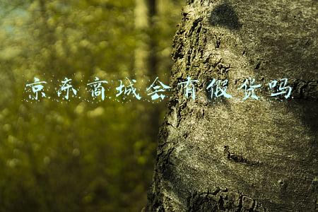 京东商城会有假货吗