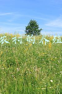 适合农村的养殖项目