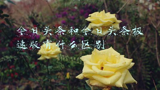 今日头条和今日头条极速版有什么区别