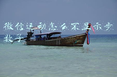 微信运动怎么不显示步数了