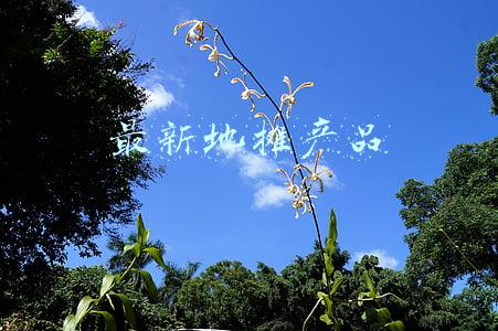 最新地摊产品