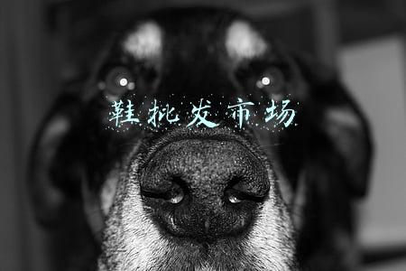 鞋批发市场 鞋批发市场