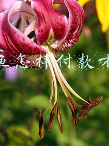 在闲鱼怎样付款才安全